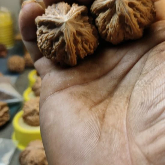 沈***子木质类玉龙粗筋三棱核桃