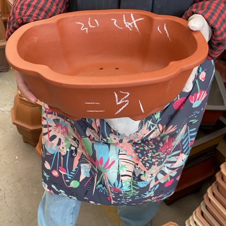 紫砂花盆只顾看手机