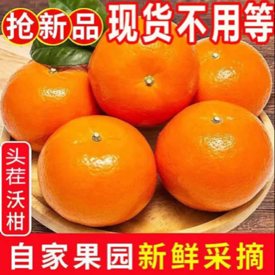 正宗广西武鸣沃柑新鲜采摘当季柑橘子产地直发现摘现发T2