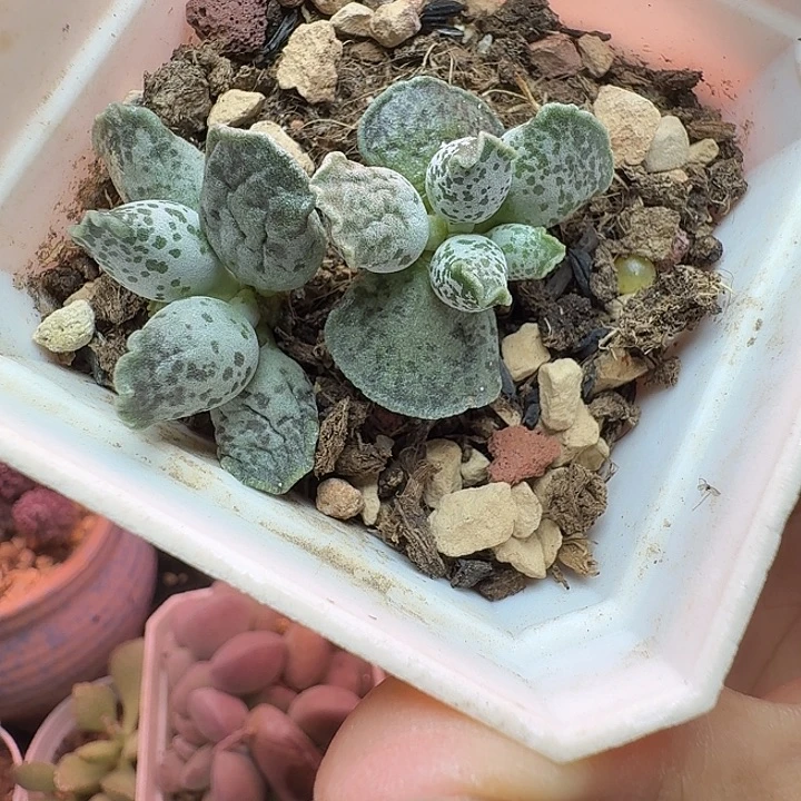 一物一拍，感谢支持