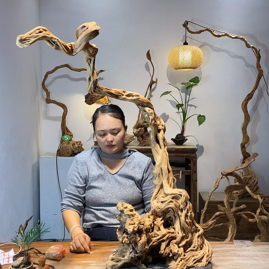 范***节天然根雕陶制艺术品