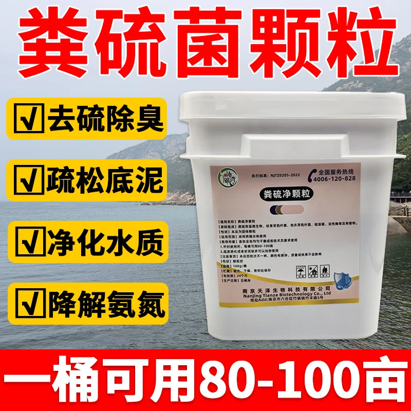 粪硫菌颗粒水产养殖专用分解淤泥底泥鱼虾净化水质生物改底硫化氢