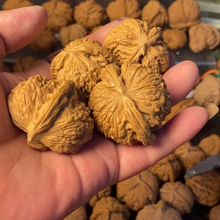 郑***亿大叶紫檀（黑酸枝木类）