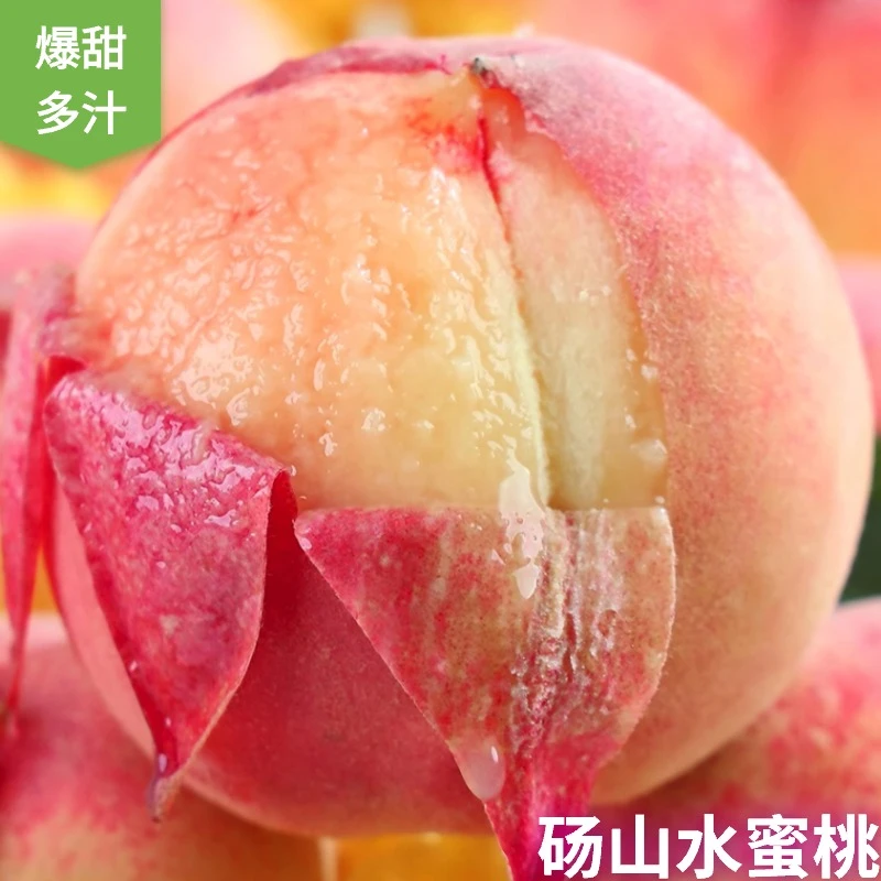 新鲜采摘水蜜桃脆甜爽口应季水果产地直发坏果包赔