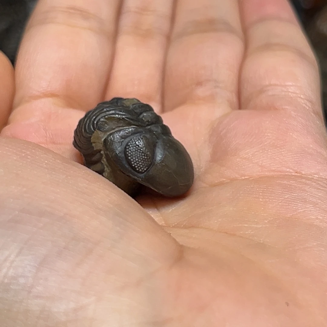 石材夏*中摆件挂件手把件