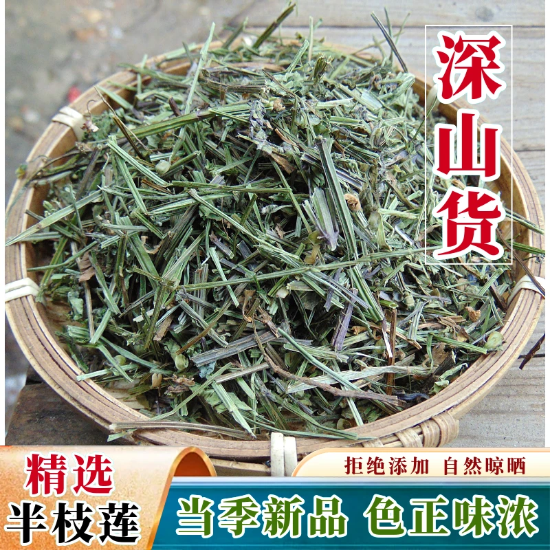 正宗半枝莲新货深山农家采并头草牙刷草韩信草新货售白花蛇舌草