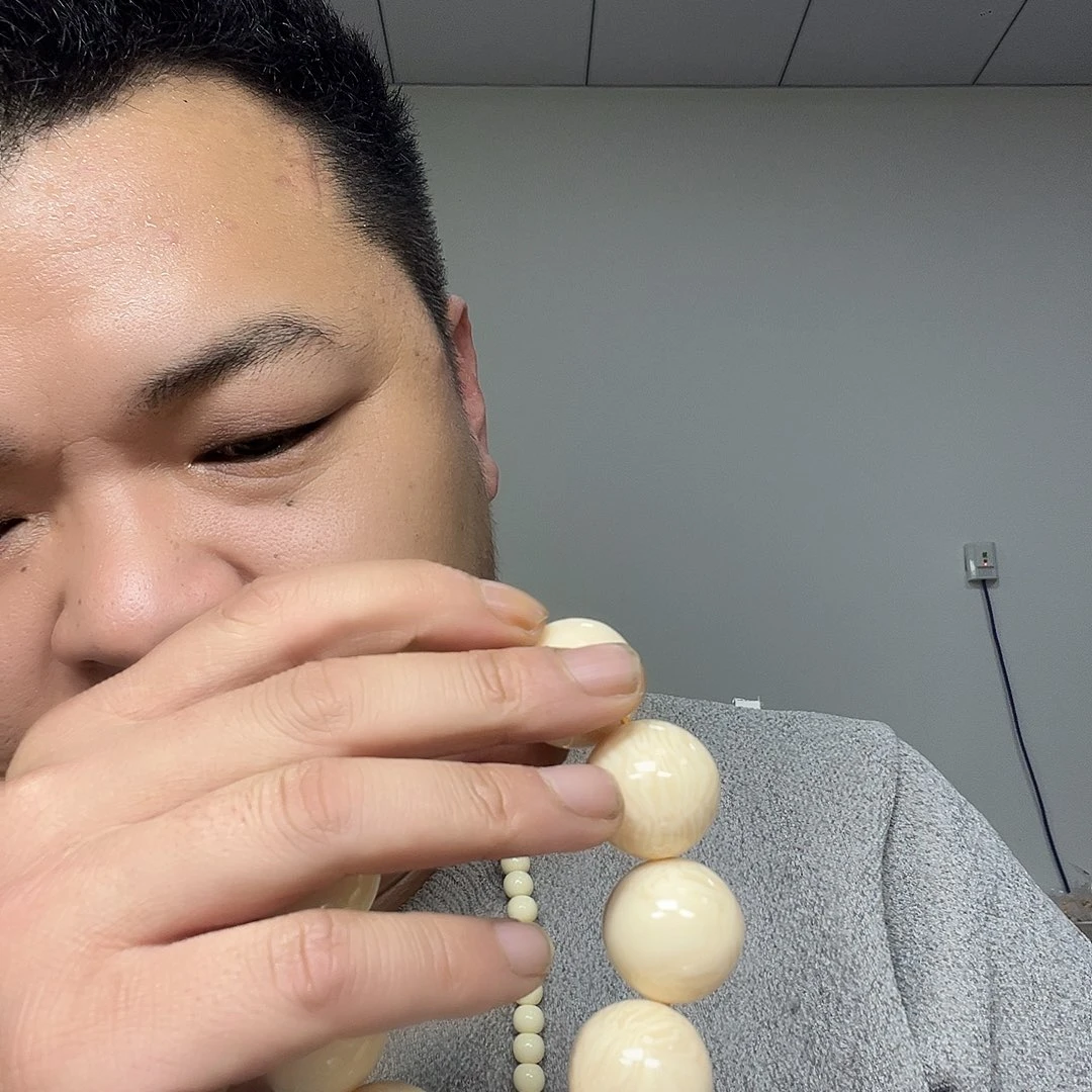 大果紫檀（缅甸花梨）A27