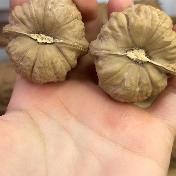 南瓜墩42尺 全品无修