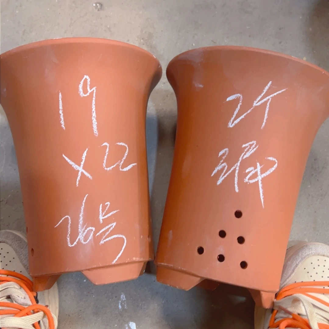 紫砂26……………………………………