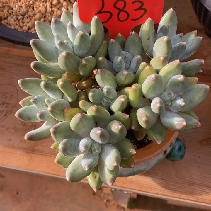 在家干的好无聊的呀