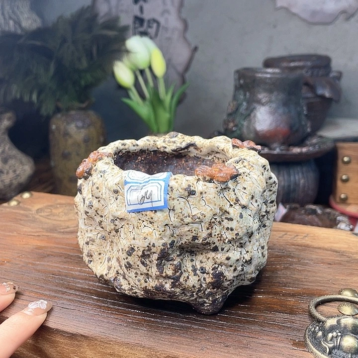 陶瓷制品不退不换23