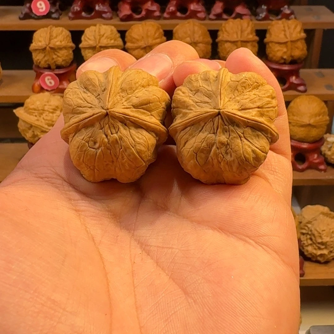 铁核桃把件肌肉尊金蟾三棱奔驰 六面蝉