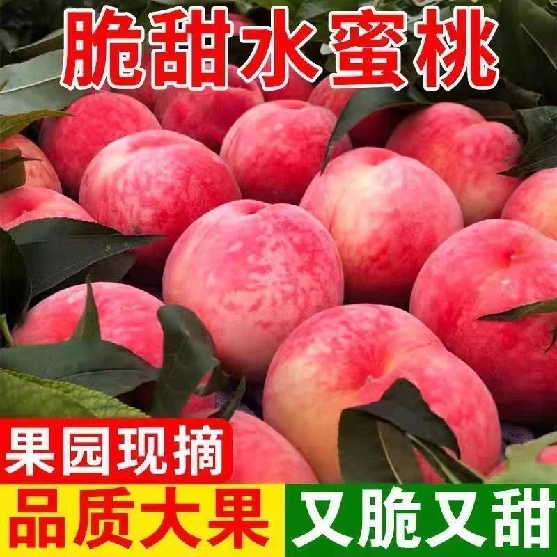 【达人专属】头茬水蜜桃新鲜桃子超甜软脆桃批发整箱应季水果