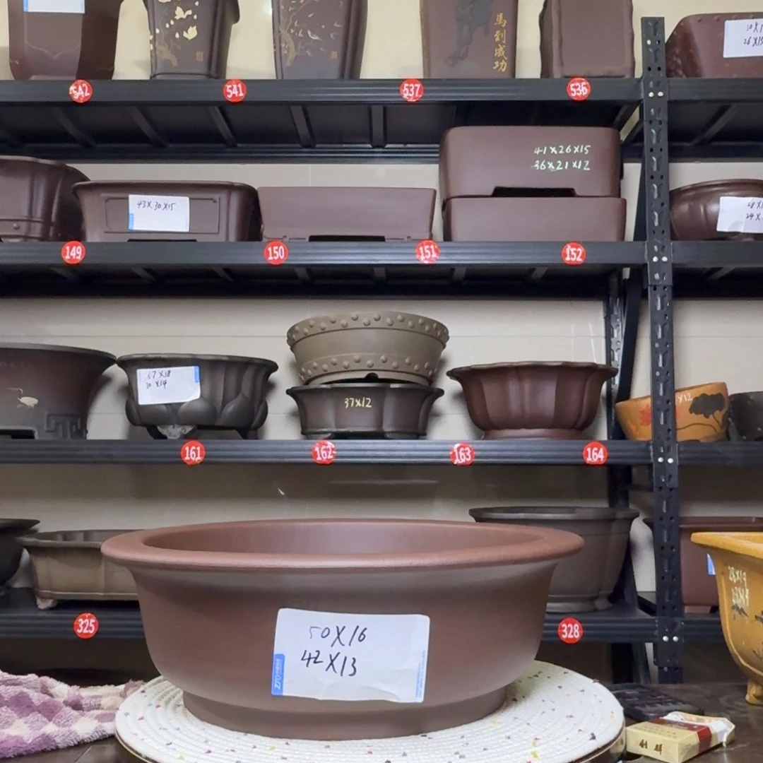 紫砂其他呜呜呜呜