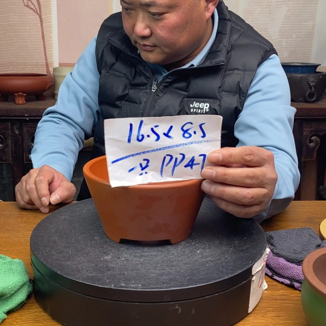 紫砂货号一只PP47