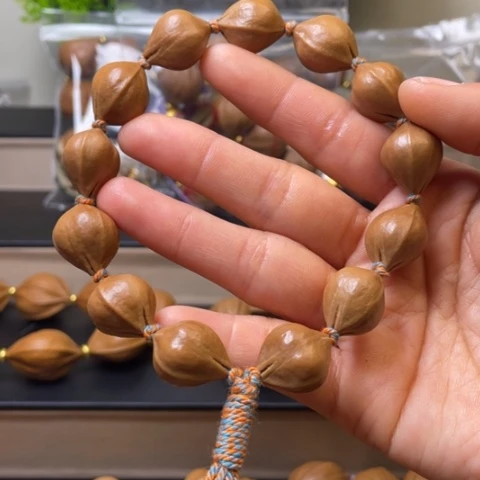 手串/手链贝壳橄榄核1.5/13/38