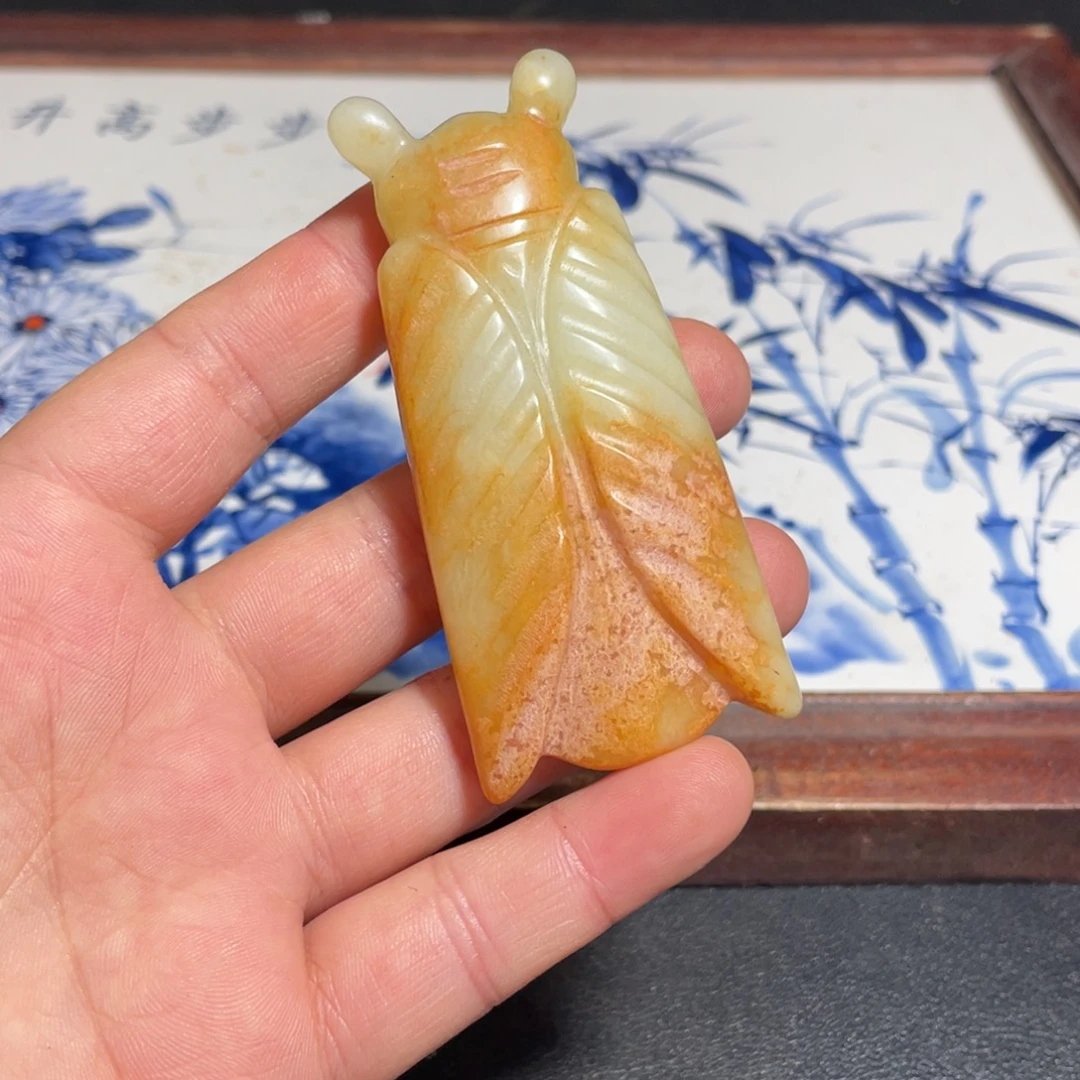 官方链接下单放心拍