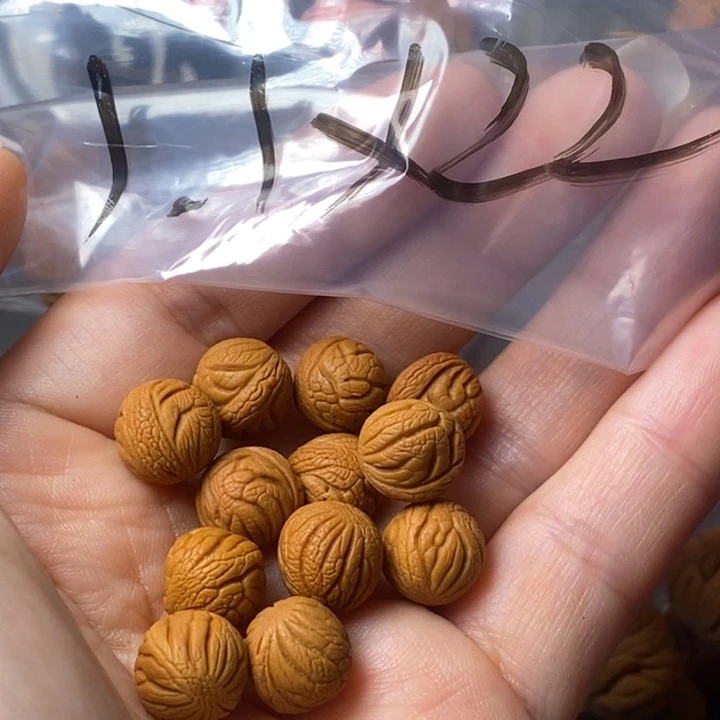 文玩核桃手串秦岭野生龙纹桃核11