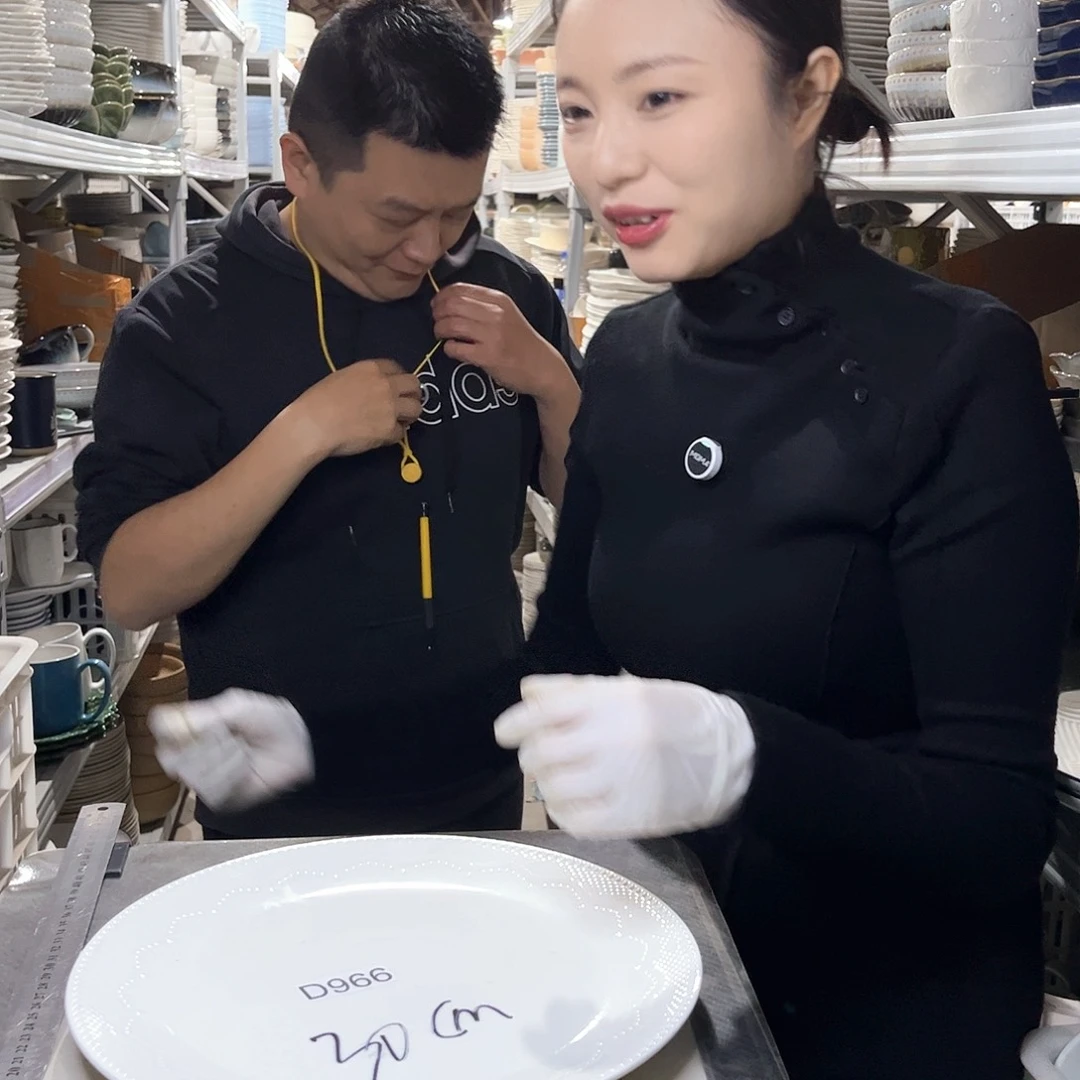 瓷片966                   2个