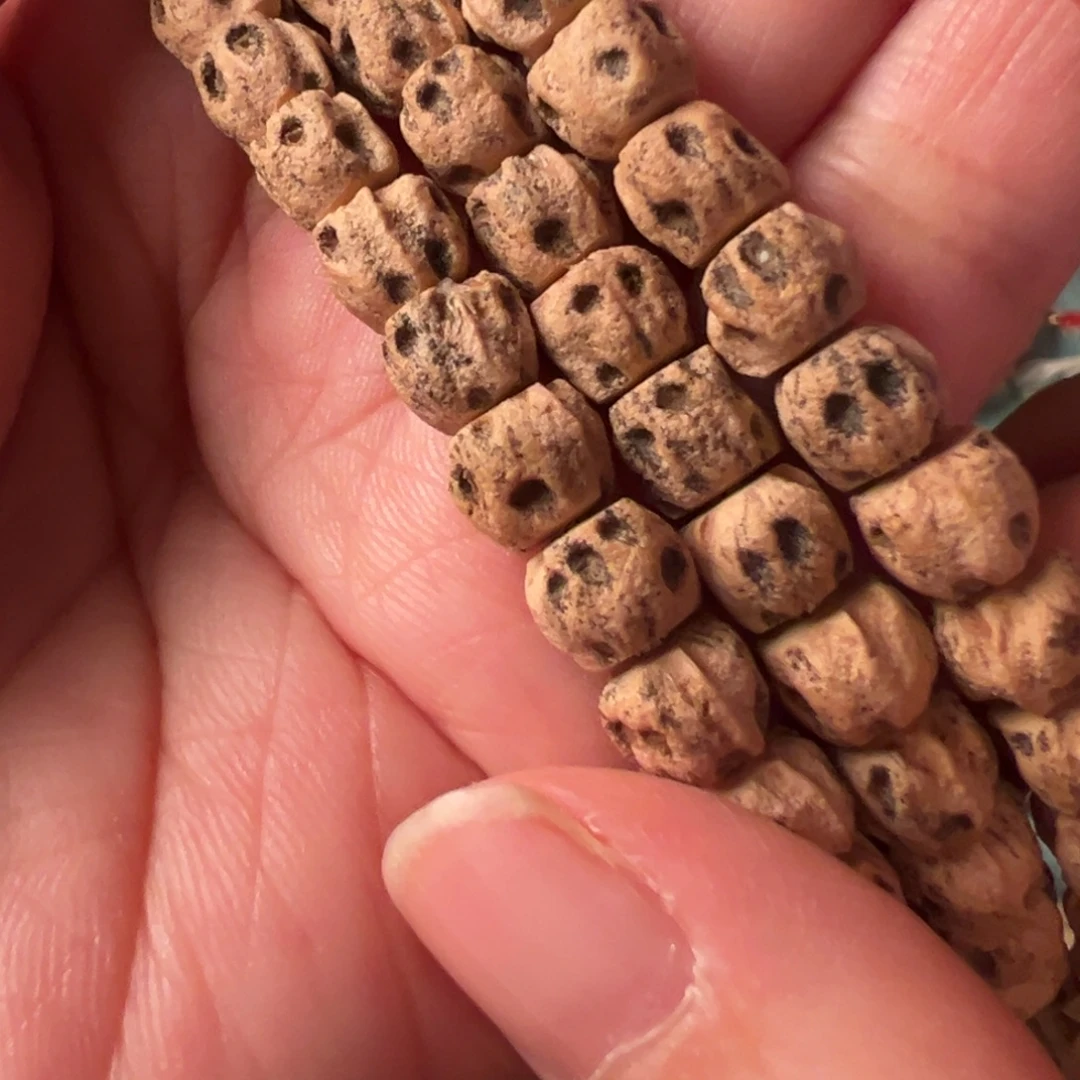 吊坠柏香籽/百香籽F771