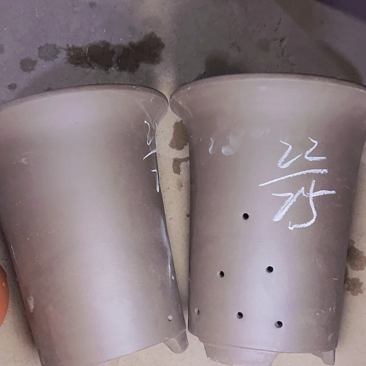 周深周深周深周深周深