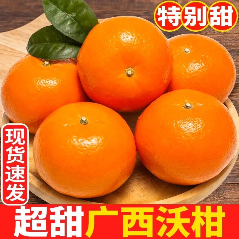 正宗广西桂林沃柑脆甜爆汁皮薄多汁新鲜现摘桔子橘子应季水果