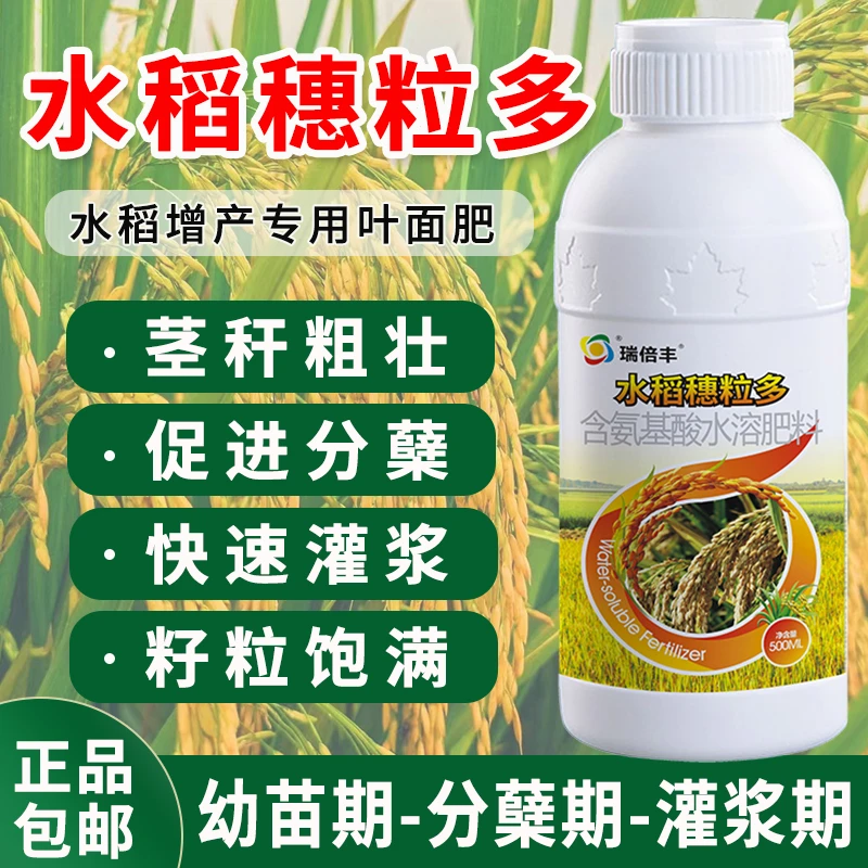 水稻穗粒多专用叶面肥稻黄金多分蘖籽粒饱满抗倒伏水稻增产肥料