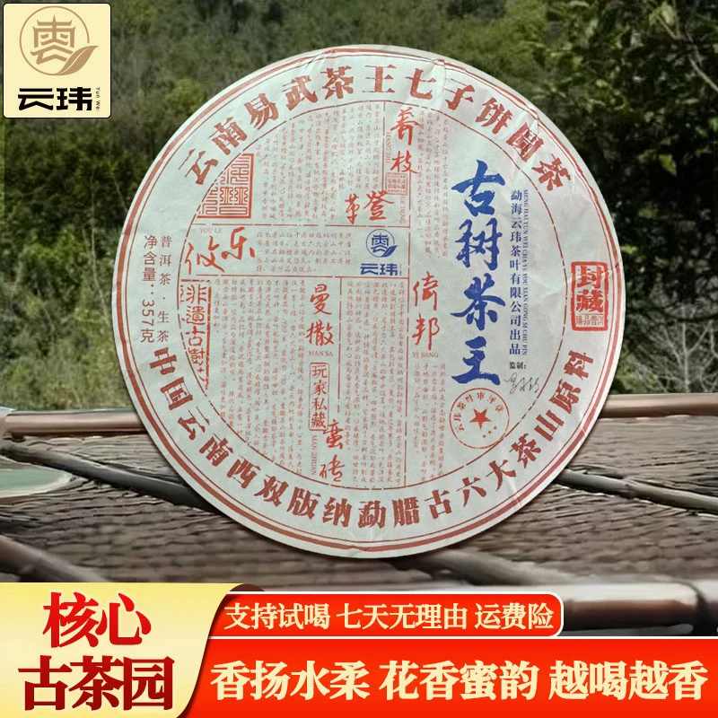 云玮2020古树茶王倚邦古树普洱纯料茶（生茶）春茶 357克 传统工艺