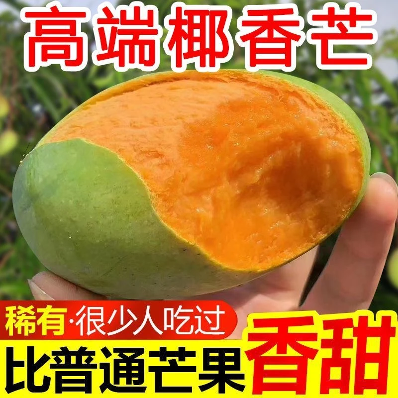 正宗攀枝花椰香芒果新鲜水果应季整箱包邮香甜多汁