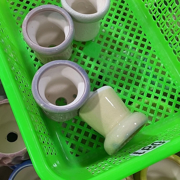 花盆抢购清货马上开始