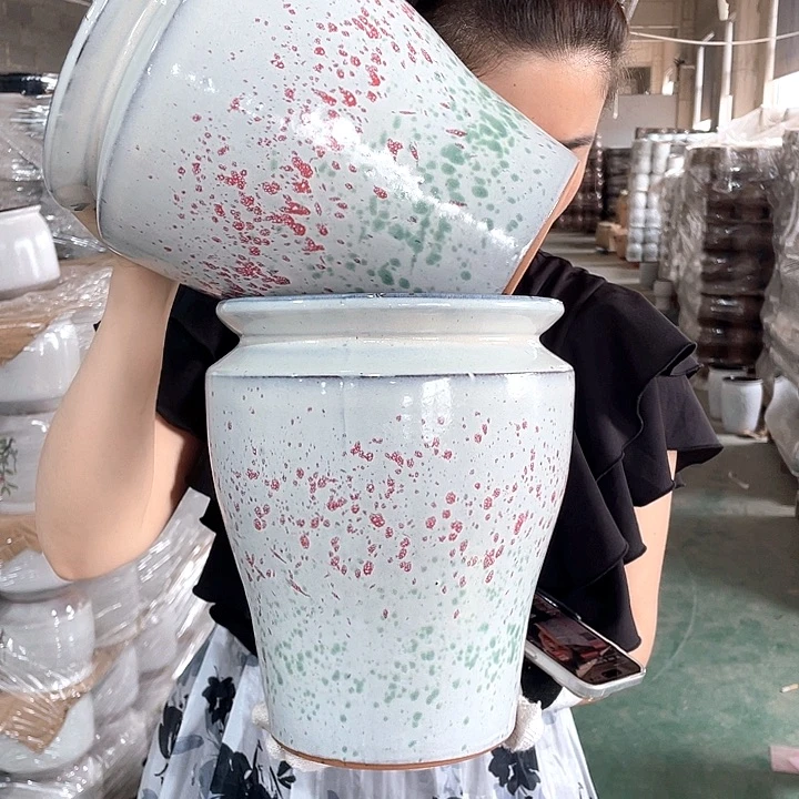 红陶正品高24/20