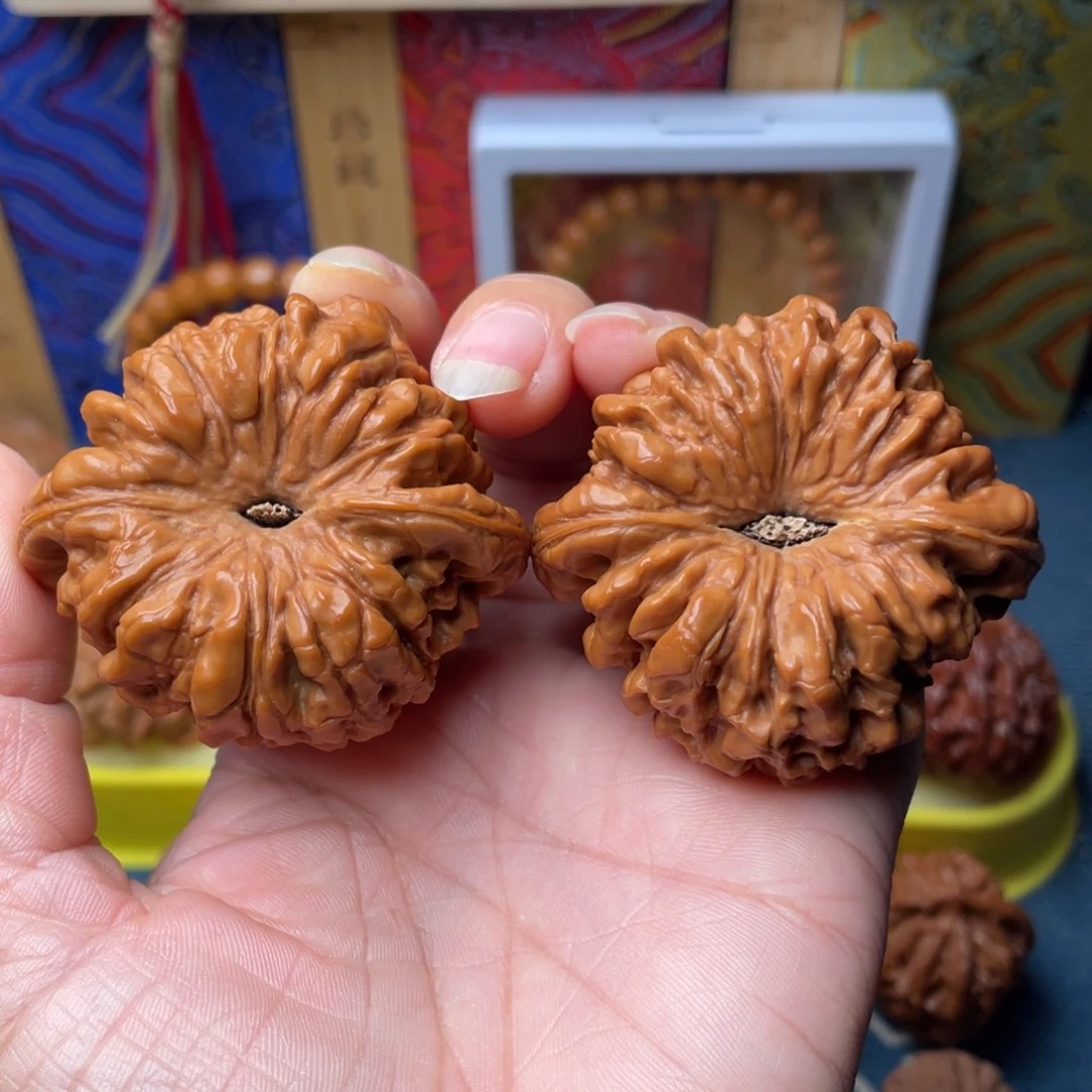 文玩核桃把件52+龙鼎