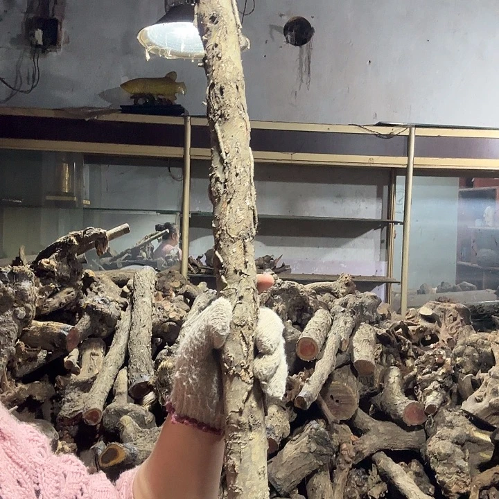 万***我香榧木火琉璃的故事是一个人的