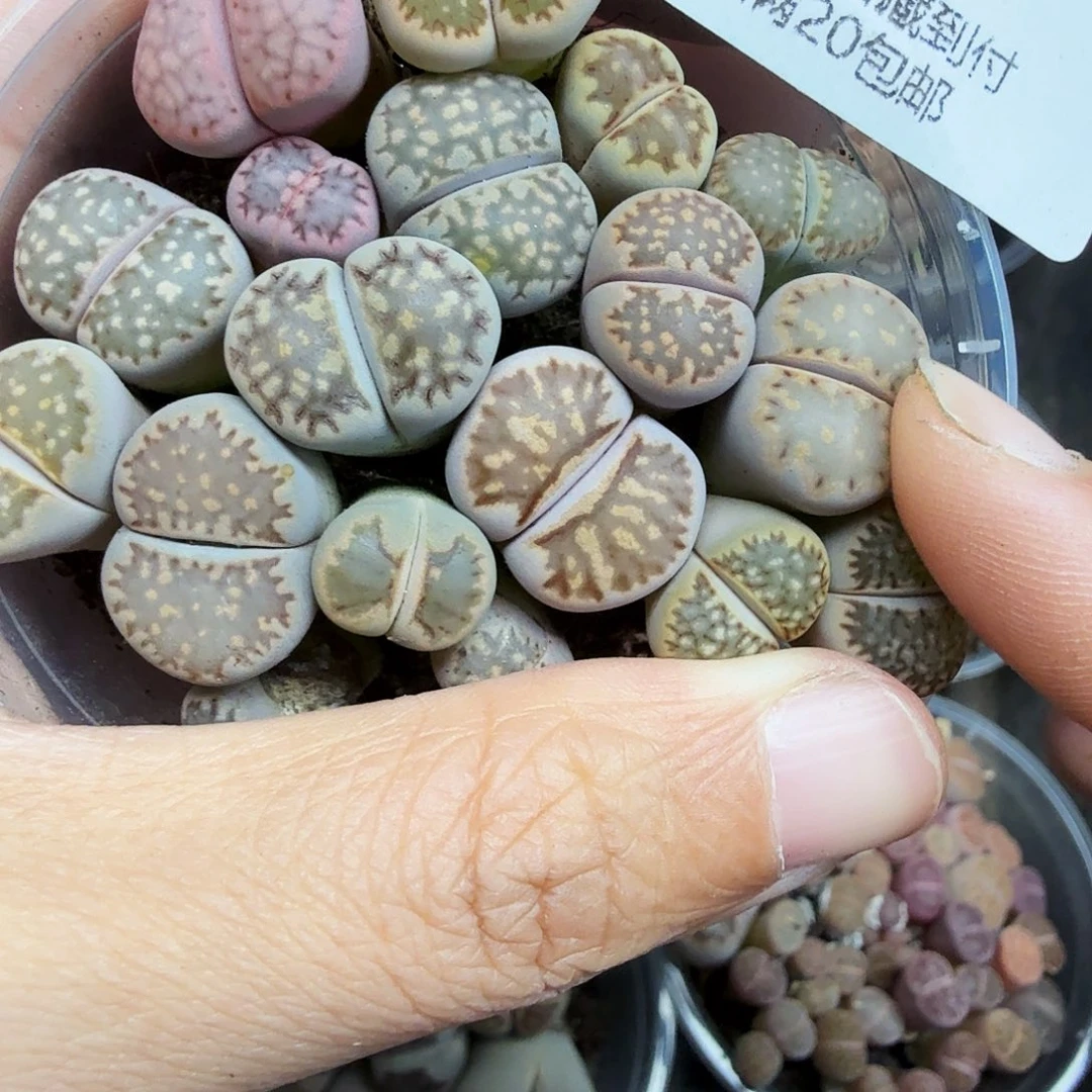 这个点睡起来了好开心627