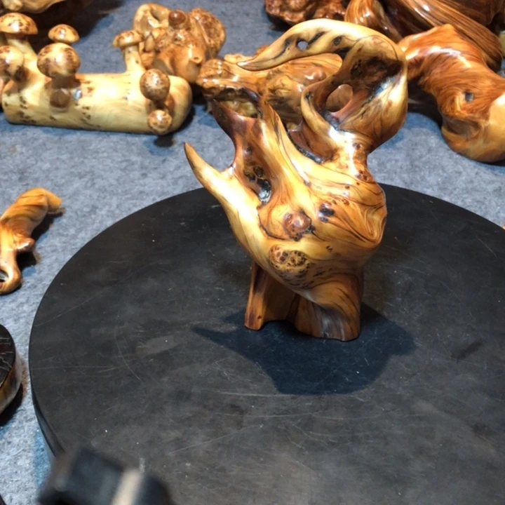 柏木（崖柏）中*崖柏6