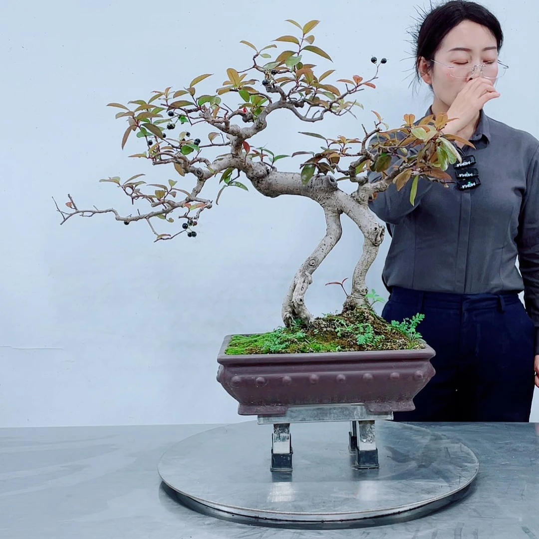 无铅玻璃老***3岭南文化艺术学院