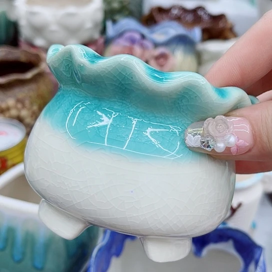 多肉绿植陶瓷花盆9.9包邮，有空