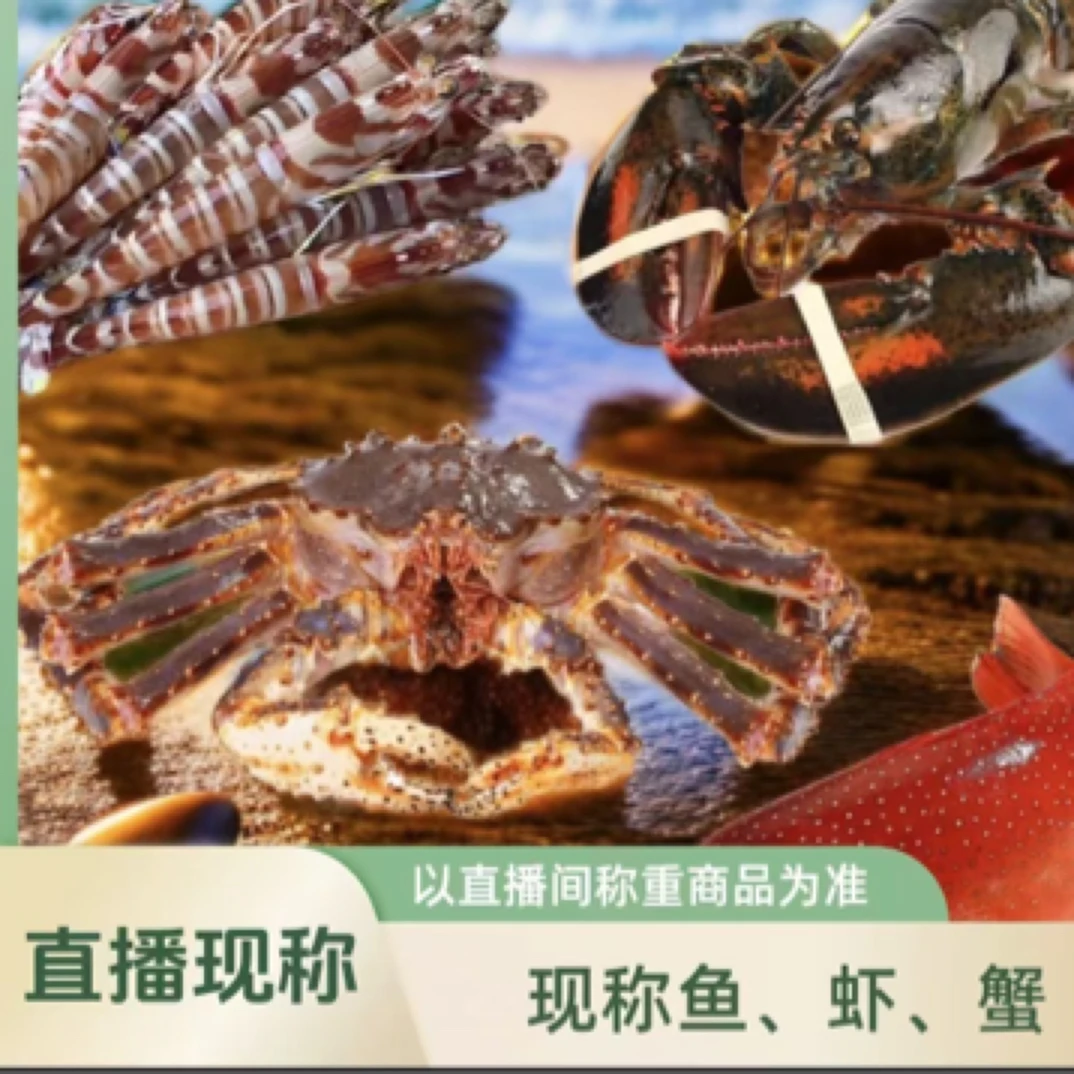 1.8斤缺氧虾姑