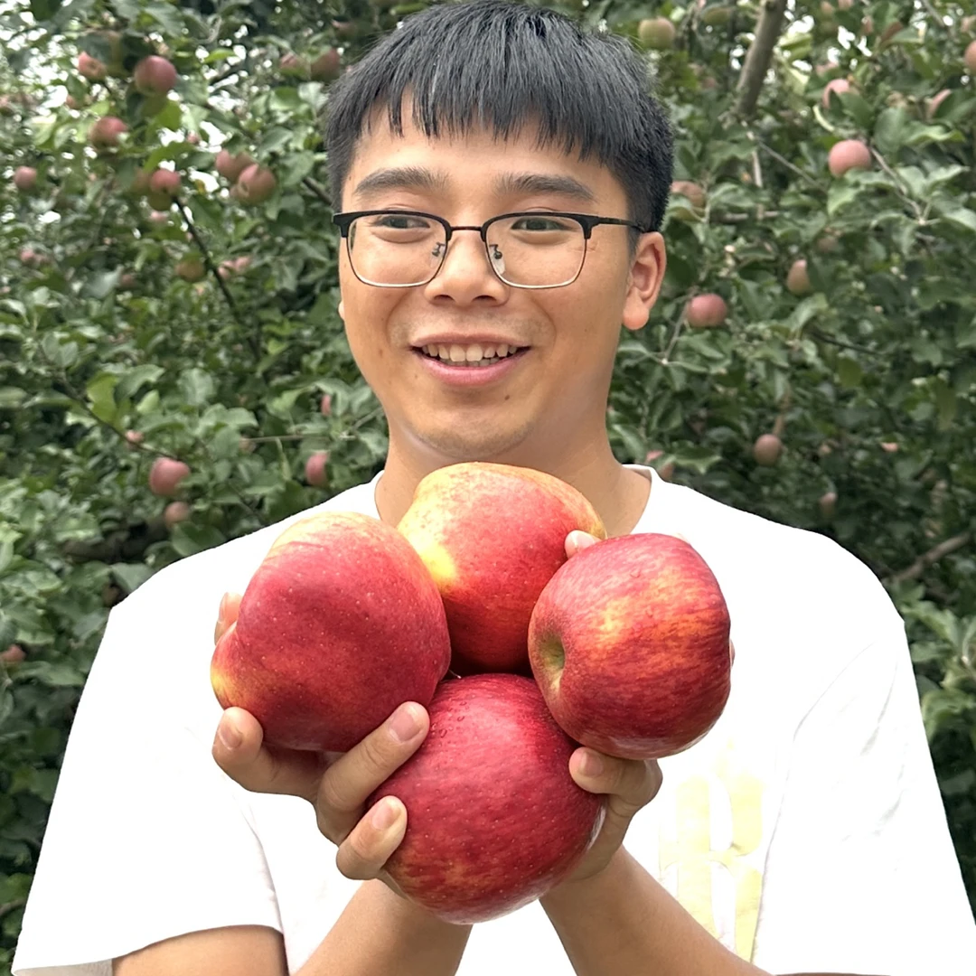 云南昭通丑苹果新鲜现摘乡村个人脆甜多汁冰糖心水果