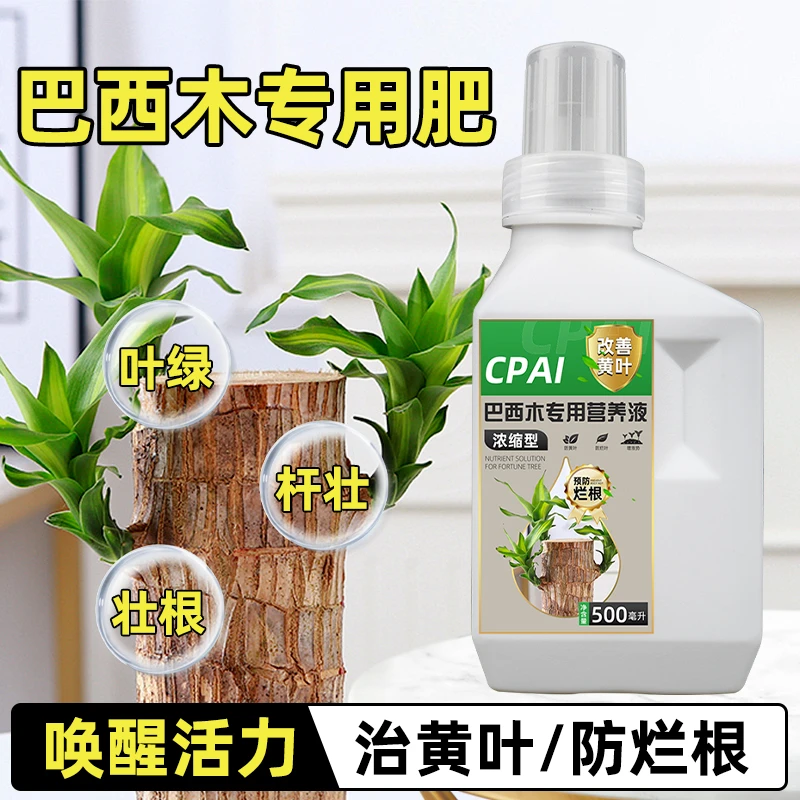CPAI巴西木专用营养液专用爆绿叶巴旦木幸运木盆栽植物绿植肥料