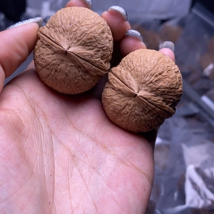 核桃云南野生铁核桃34号37mm