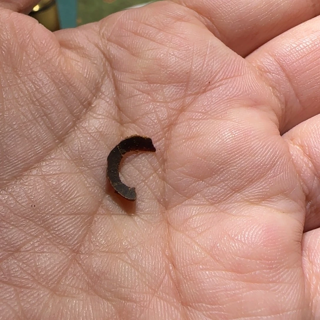 【闪购商品】沉香沉香碎屑1千万批次芽庄土熟老白奇沉水圈圈1个不退