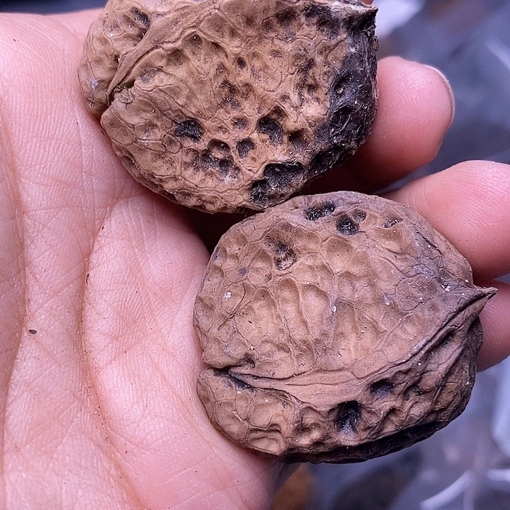 把件文玩核桃   204