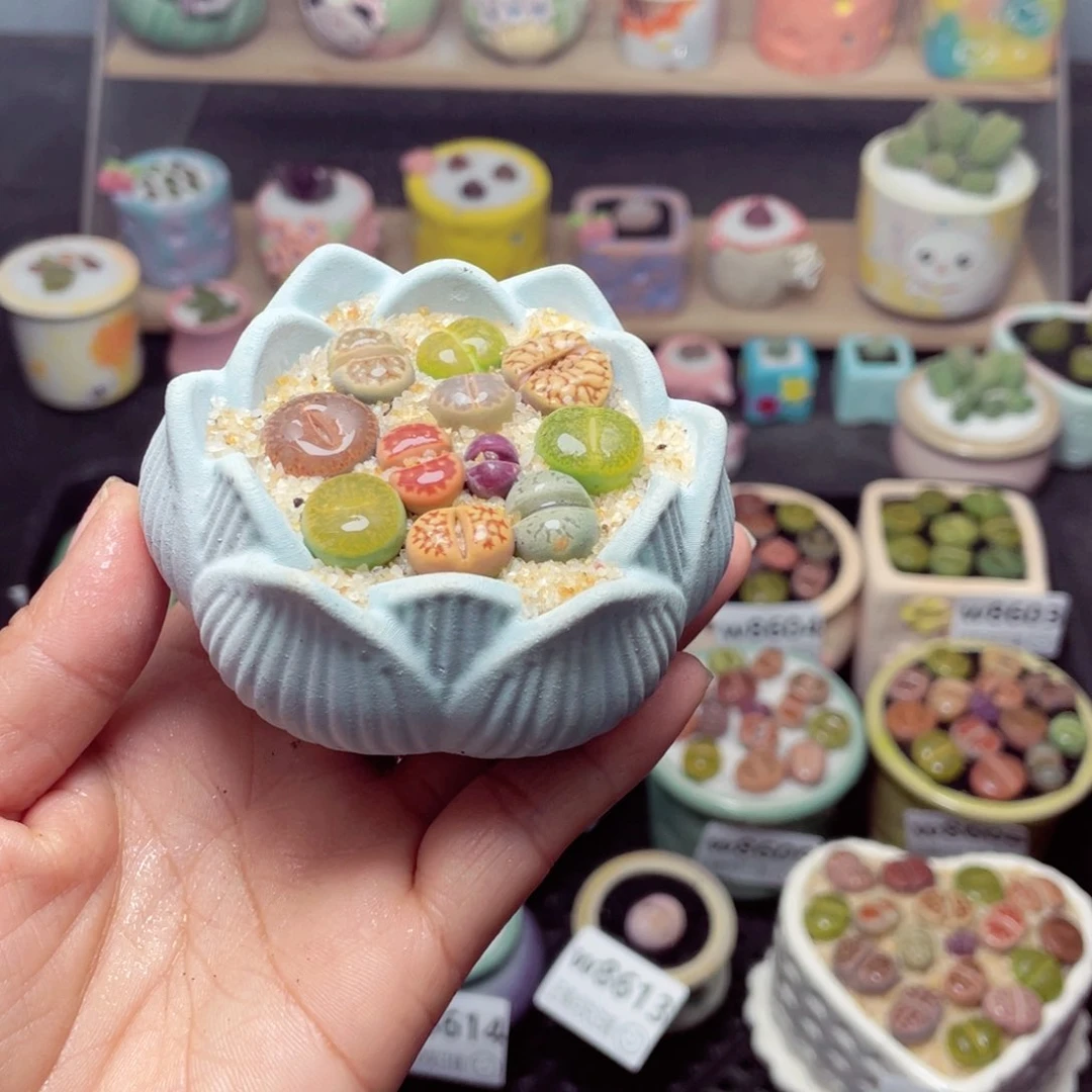 w8615 带盆土发货-零下地区拍保温箱