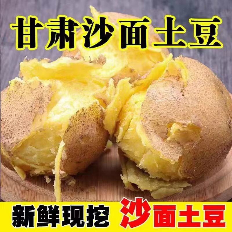 土豆黄心甘肃定西包邮现挖新鲜旱地开花沙面黄心洋芋土豆马铃薯