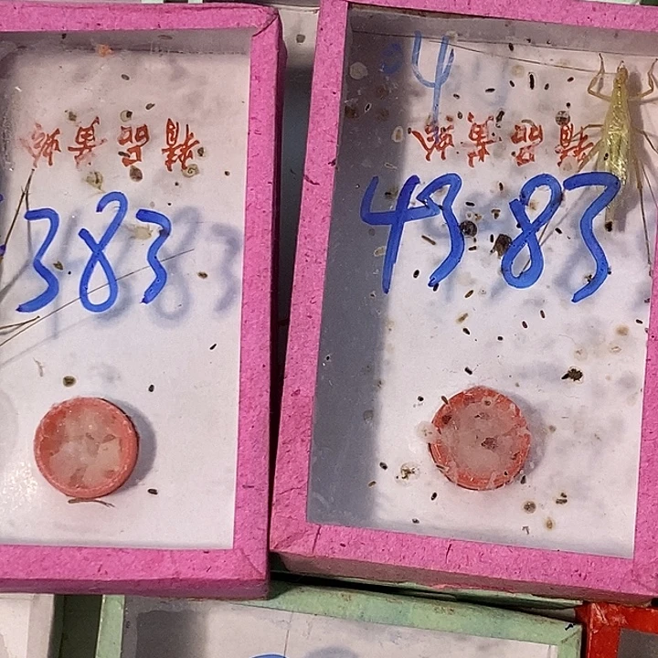 邓***三蟋蟀我也不知道我是什么心情