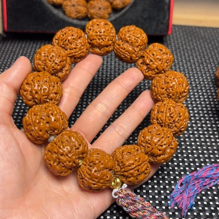 手串金刚菩提五抓金龙