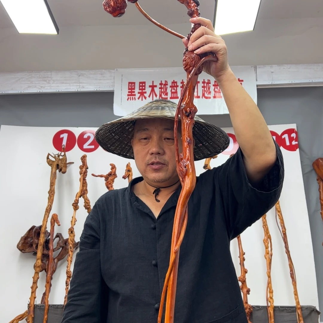 泉***子黑果木其他黑果木723