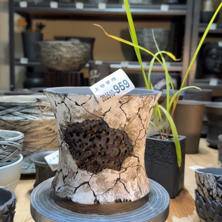 内口13高13.5块根盆黑陶