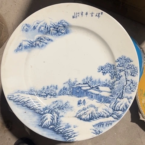 其他瓷10寸盘一个